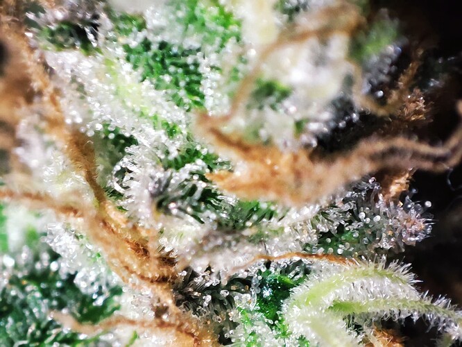 Growreport Bild 56