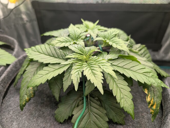 Growreport Bild 24