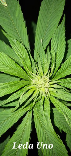 Growreport Bild 14