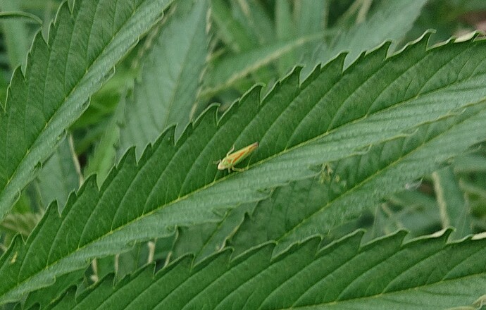 Growreport Bild 23