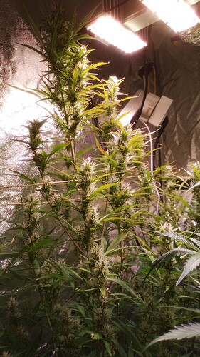 IMG_20240513_092815_491