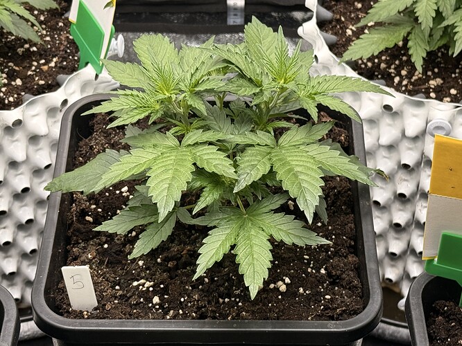 Growreport Bild 12