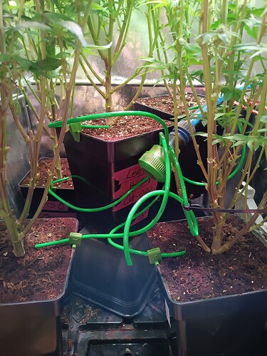 Growreport Bild 8