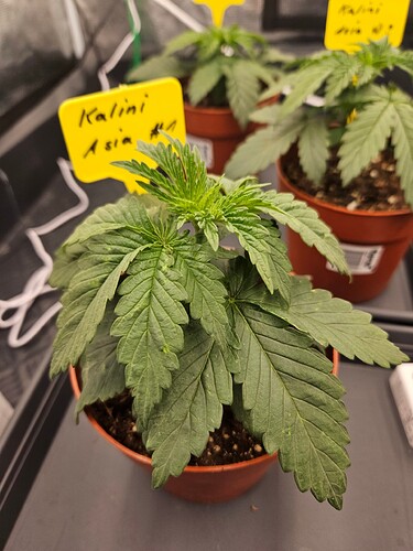 Growreport Bild 47