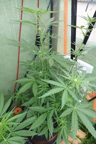 Growreport Bild 15