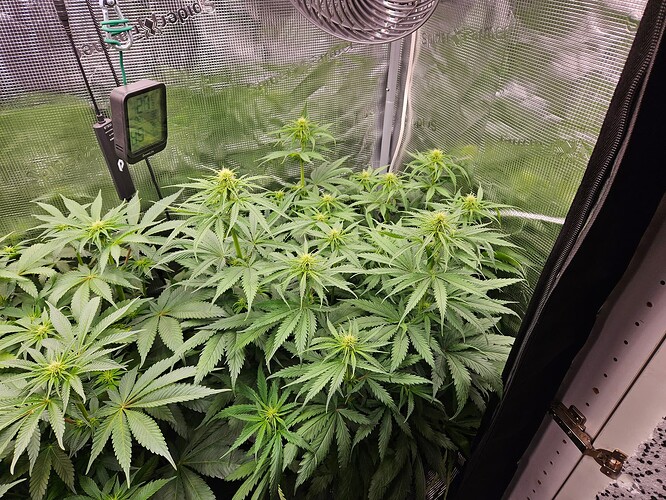 Growreport Bild 12