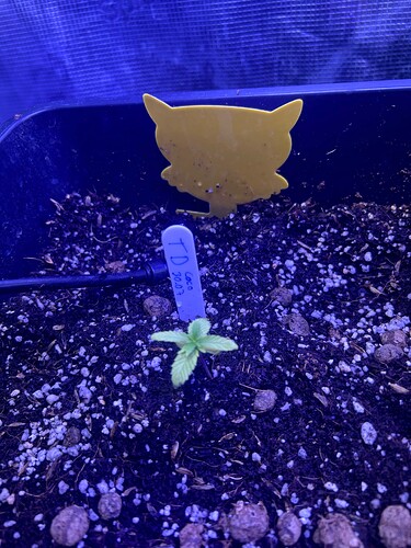 Growreport Bild 9