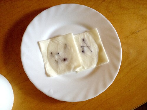 Grow25_0703_SR_Saat_1