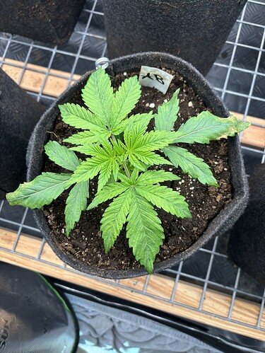 Growreport Bild 11