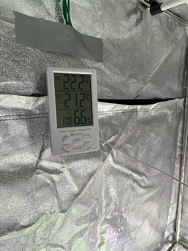 Growreport Bild 40