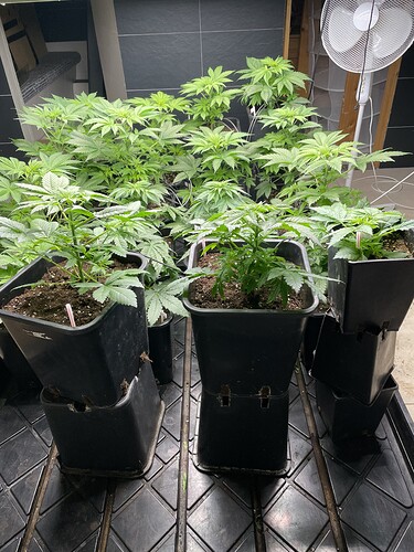 Growreport Bild 6