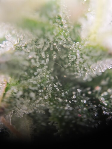 MVIMG_20251112_213054