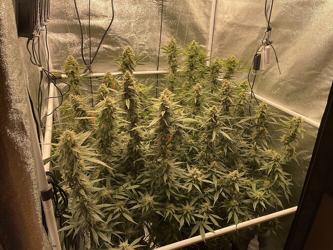 Growreport Bild 13