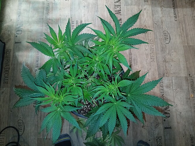 Growreport Bild 16