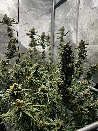 Growreport Bild 2
