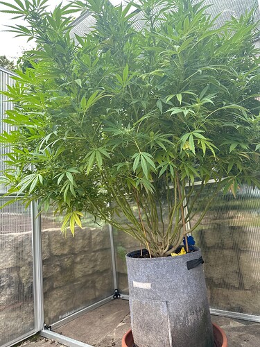 Growreport Bild 30