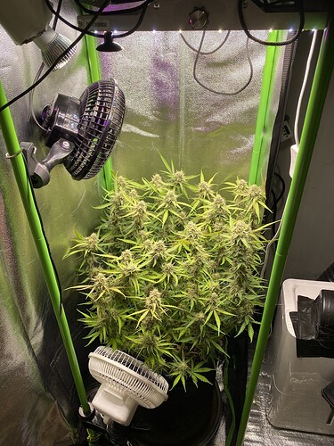 Growreport Bild 13