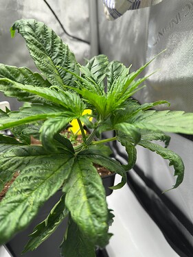 Growreport Bild 30