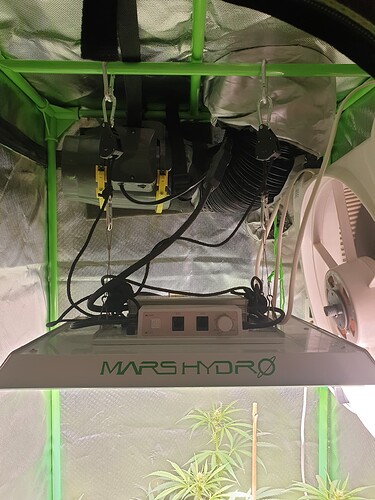 Growreport Bild 8