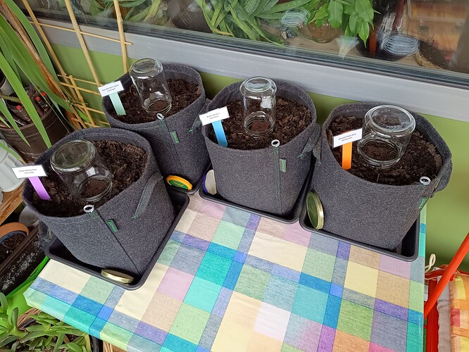 IMG_20240409_121623667