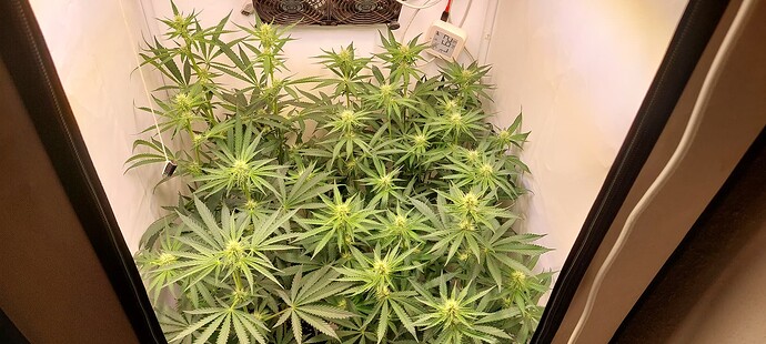 Growreport Bild 12