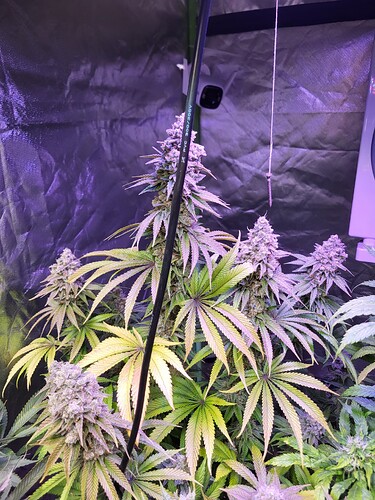 Growreport Bild 2