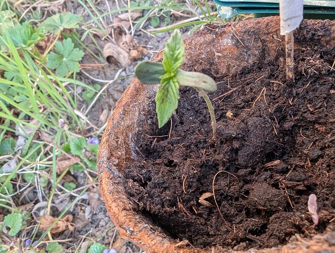 PXL_20250403_165836960