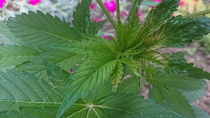 Growreport Bild 21