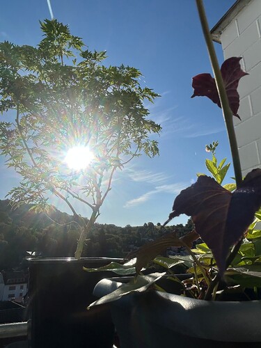 Growreport Bild 21