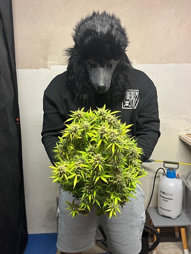 Growreport Bild 45