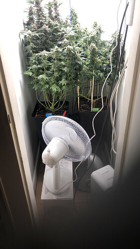 Growreport Bild 22