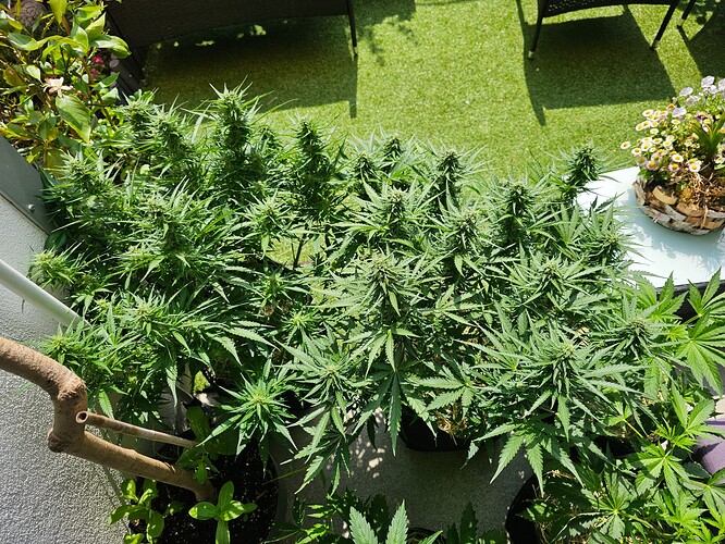 Growreport Bild 1