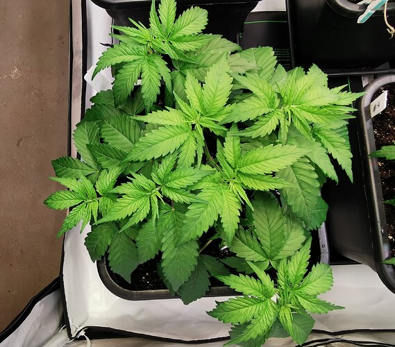 Growreport Bild 10