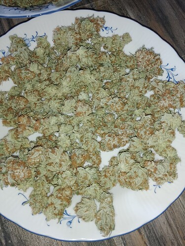 IMG_20240810_193935_536