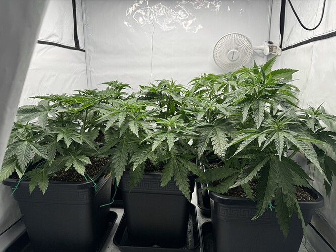 Growreport Bild 1