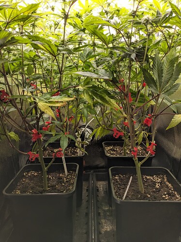 PXL_20240609_143513313