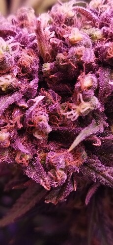 Growreport Bild 5
