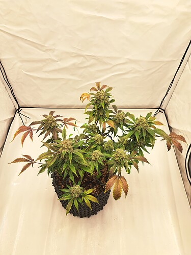Growreport Bild 8