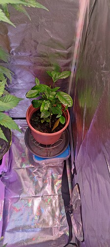 Growreport Bild 8
