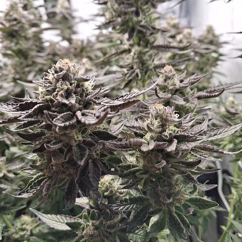 480426311_122169370058293599_2125626573732840265_n