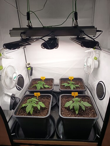 Growreport Bild 8