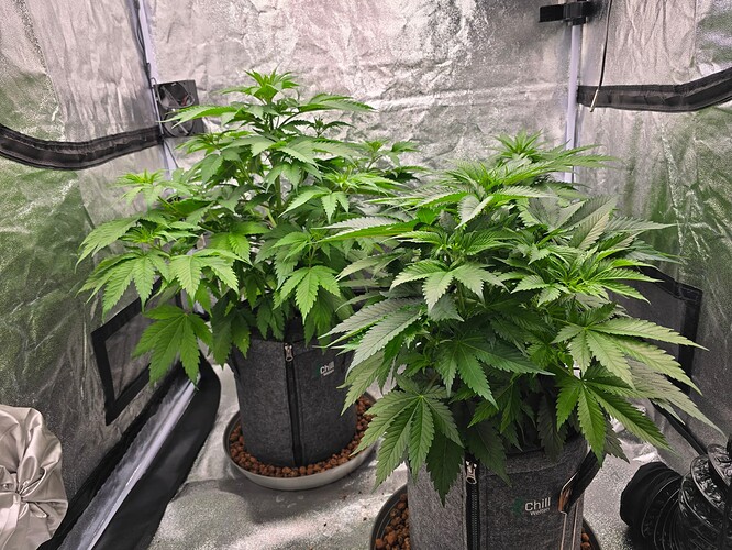 Growreport Bild 2