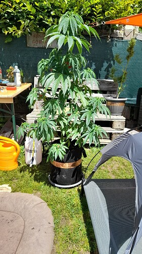 Growreport Bild 13
