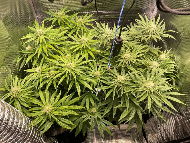 b2