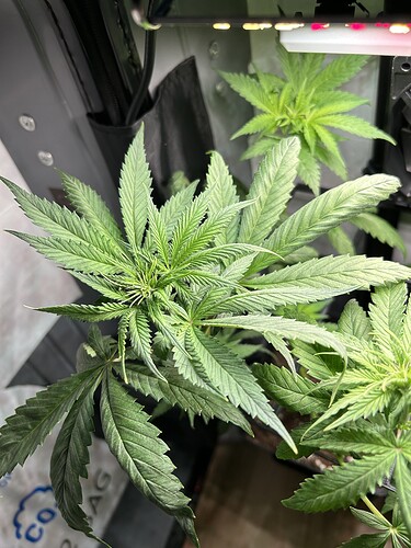 Growreport Bild 11