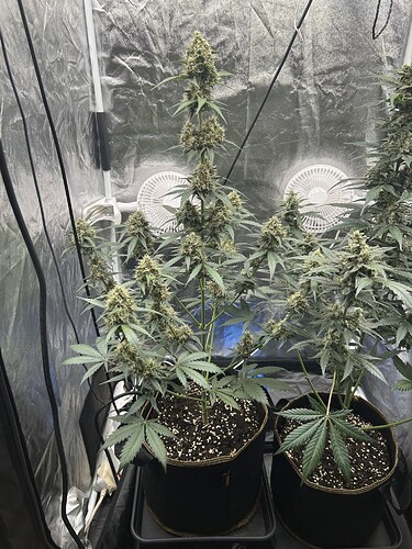 Growreport Bild 5
