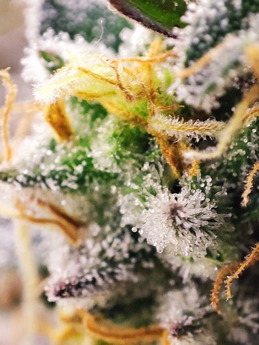 Growreport Bild 9