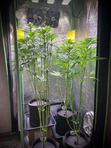 Growreport Bild 9