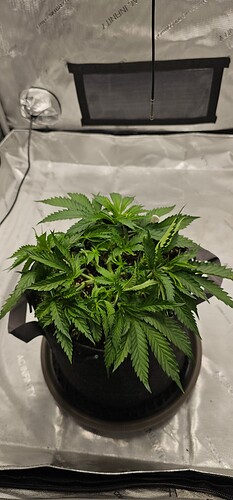 Growreport Bild 10