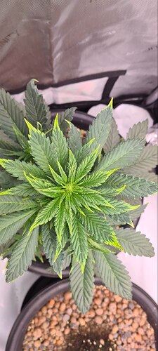 photo_2026-02-16_19-57-55